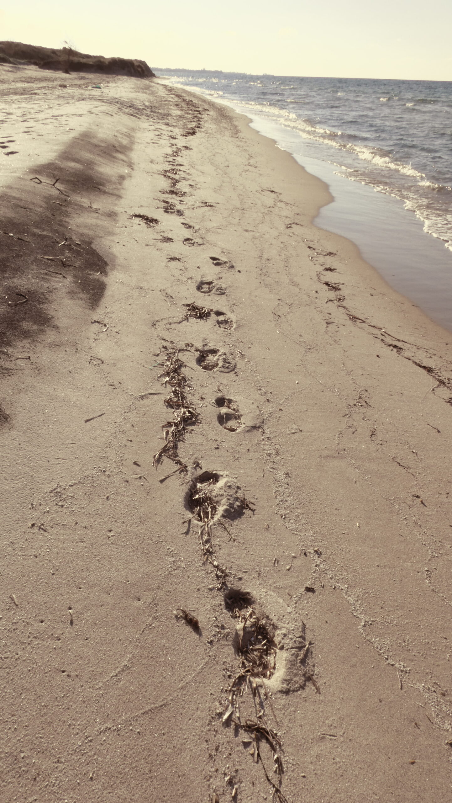 Voetafdrukken op het strand op Kos